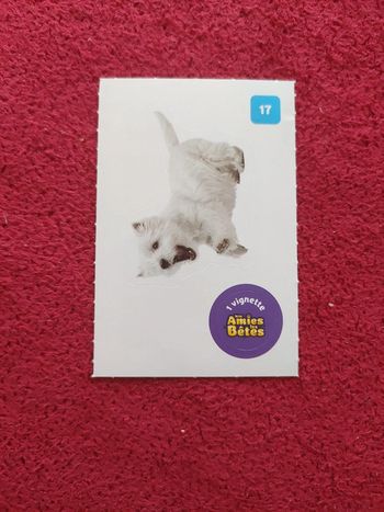 Carte nos amies les bêtes