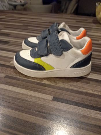 Baskets Geox