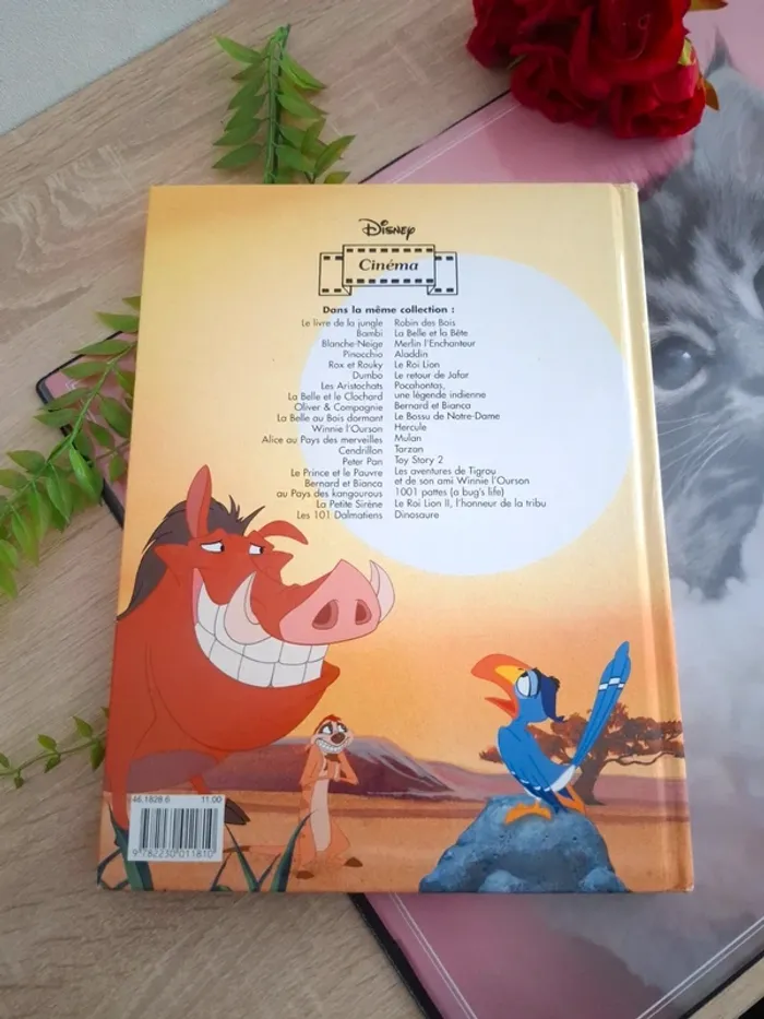 Livre Disney / Le roi lion II - photo numéro 2
