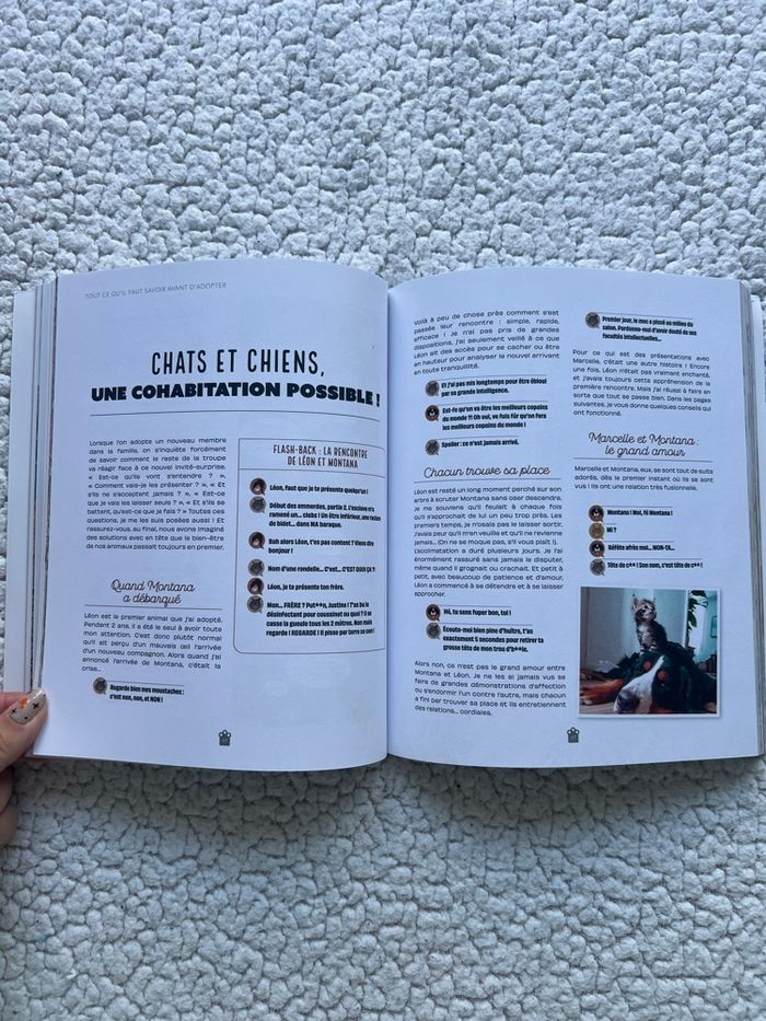 Un van, un chien, deux chats, en route ! de Justine WDM - photo numéro 9