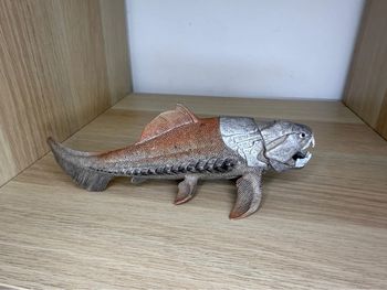 Dunkleosteus schleich