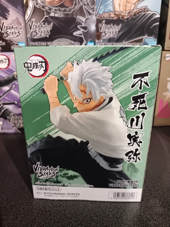Kimetsu no Yaiba Démon Slayer Vibration Stars Sameni - photo numéro 4