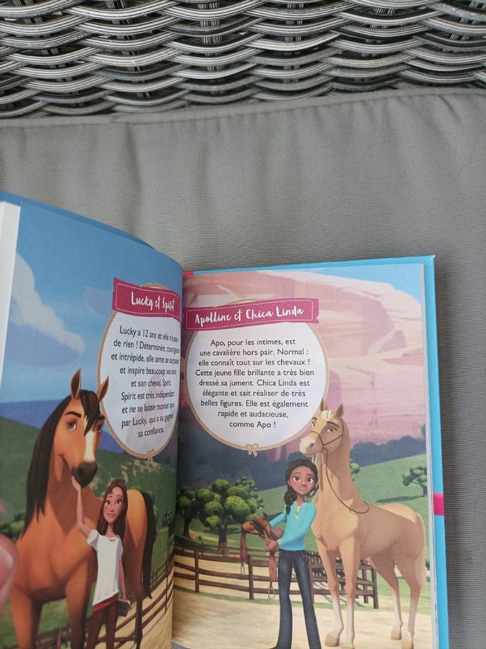 Livre Spirit neuf - photo numéro 4