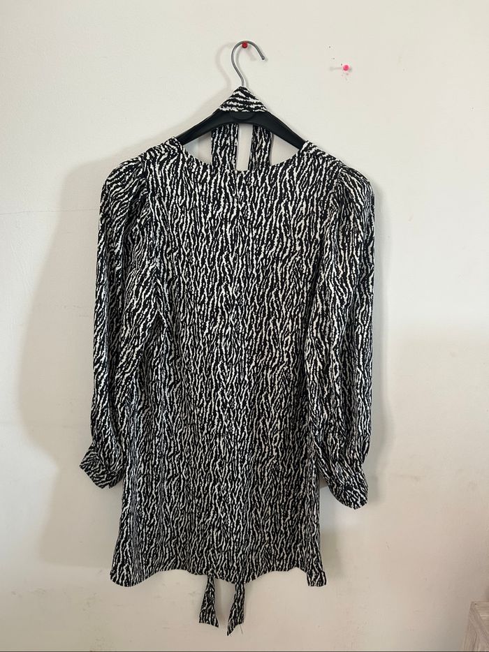 Robe zébré - photo numéro 2