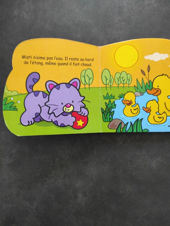 Petite histoire Misti le chat - photo numéro 2