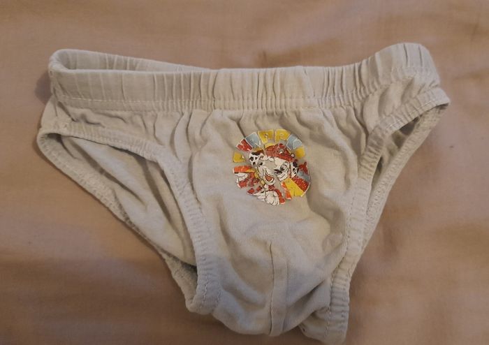 Lot de 6 slips pat patrouille - photo numéro 6