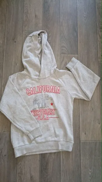 pull type sweat à capuche 10 ans Orchestra gris bon état
