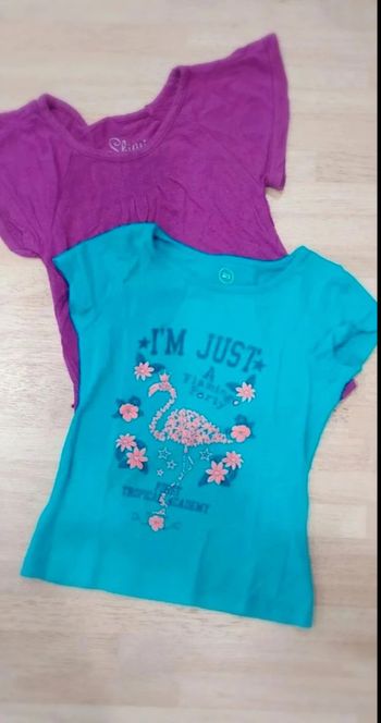 Lot 2 tee-shirts fille 24mois/2ans