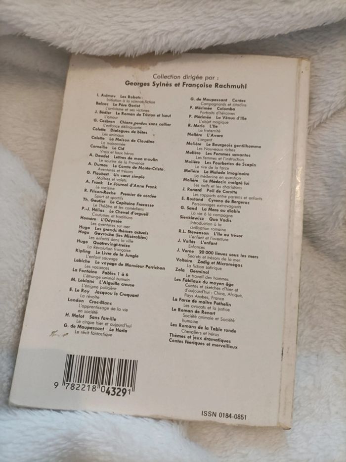 Gavroche – d’après Les Misérables – Hugo (adaptation) - photo numéro 2