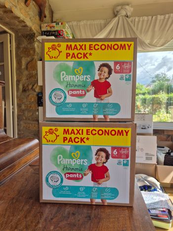 Couche taille 6 Harmonie : 120 culottes pants