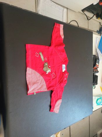 Tee-shirt rouge avec avion 6M lapin bleu