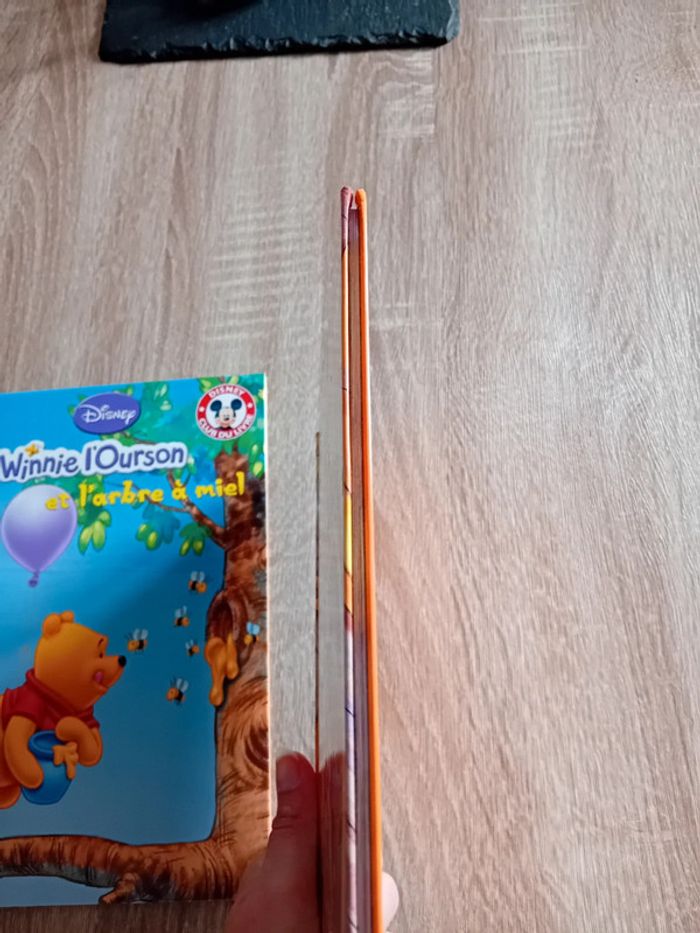 Lot de 2 livres Disney - photo numéro 6