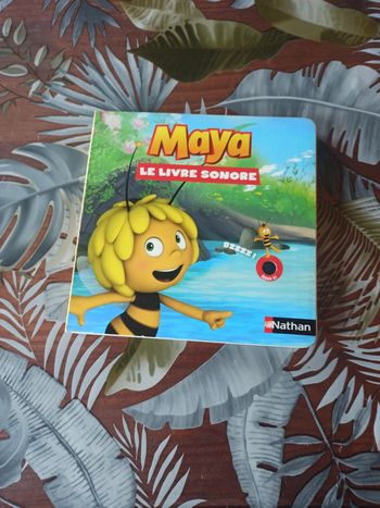 Le livre sonore maya