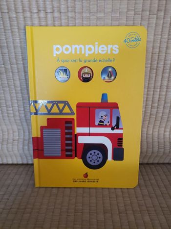 Pompiers à quoi sert la grande échelle ?