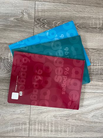 Lot de 3 cahier