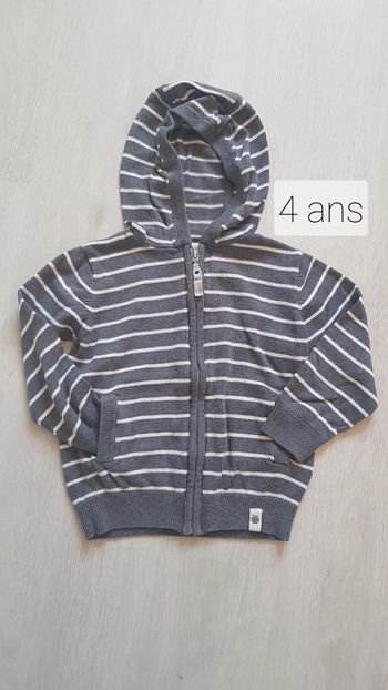 Gilet capuche zippé