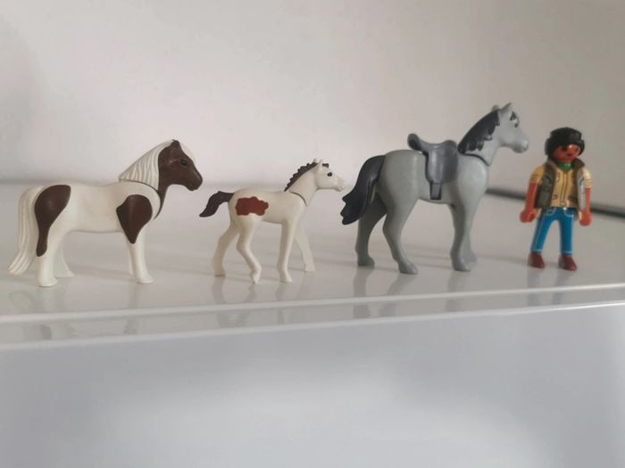 Playmobil lot animaux personnage cheval poney poulain cavalière écuyere - photo numéro 2