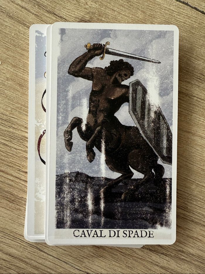 Tarot OOP tarrochi de Mr Friborg - photo numéro 7