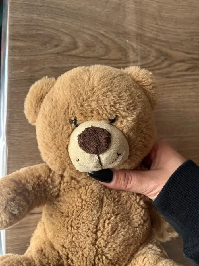 Ours en peluche - photo numéro 2