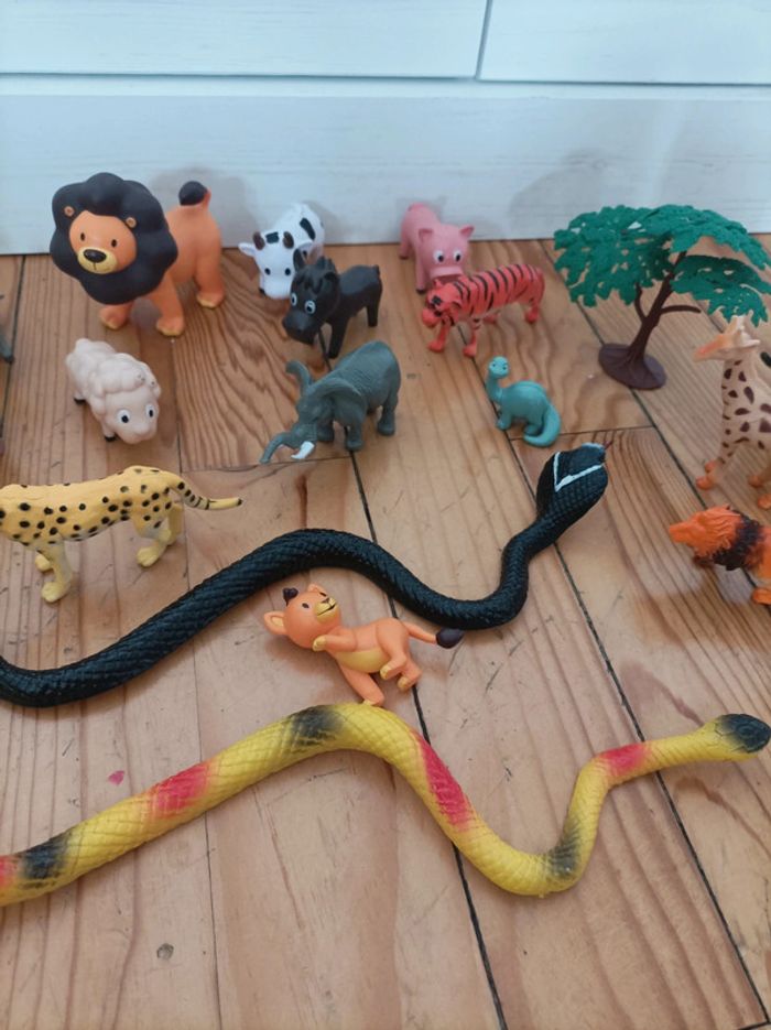 Lot animaux - photo numéro 3