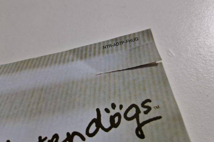 Notice Petit Livret Sans Jeu Nintendogs - photo numéro 2