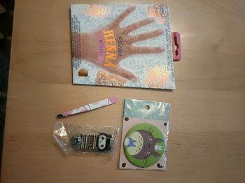 Lot pince à épiler, coupe ongles et miroir