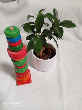 Anneau à empiler bois