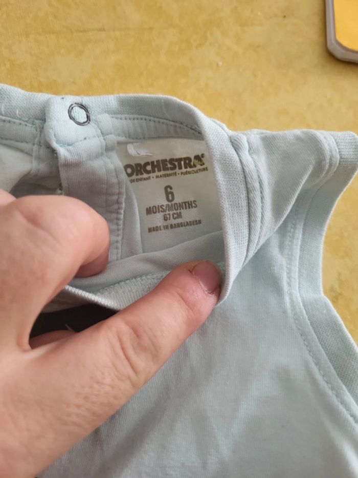 Combishort palmier - photo numéro 3