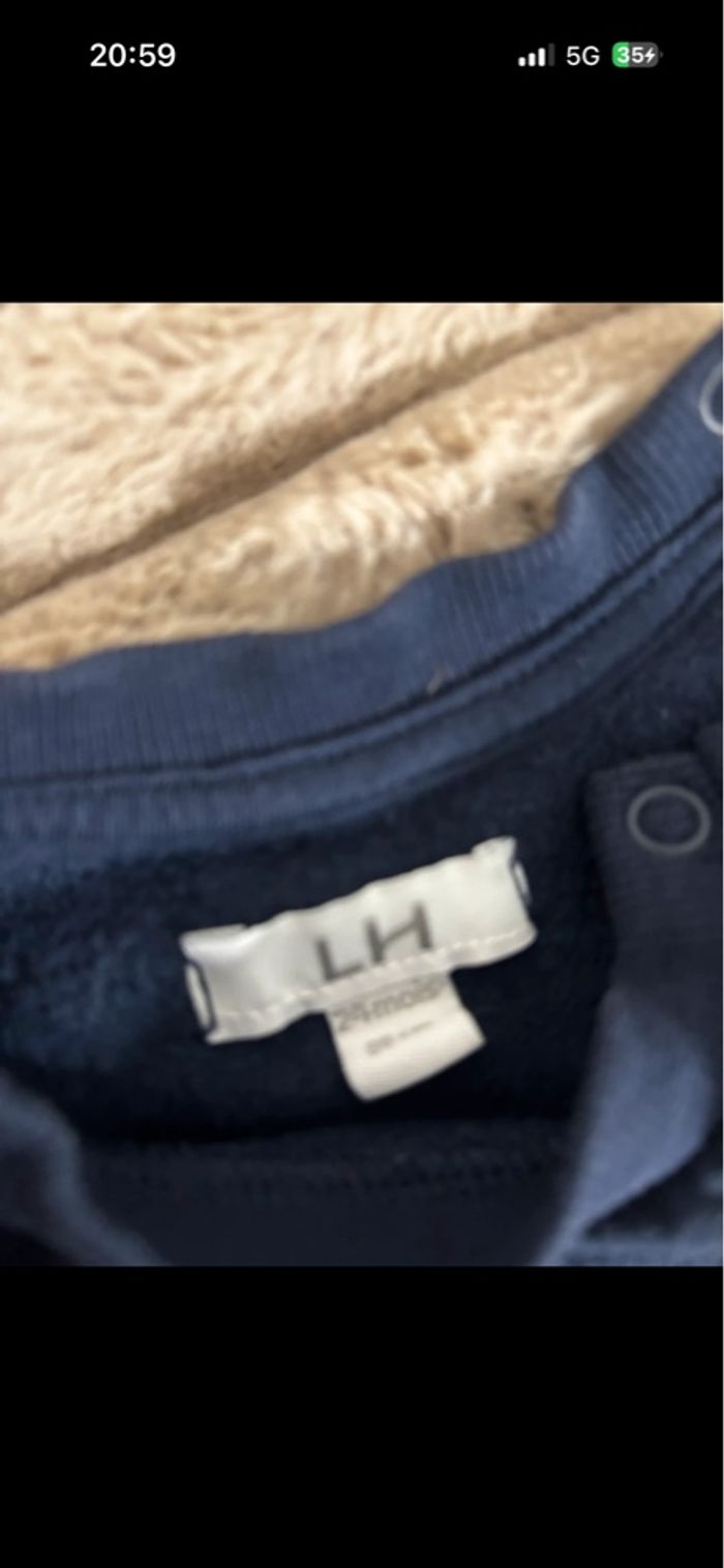 Pull dino - photo numéro 3