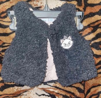 gilet