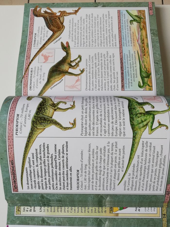 livre dinosaures - photo numéro 7