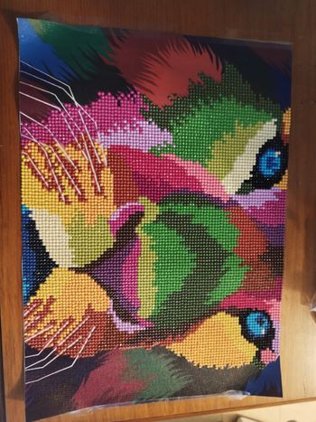 Painting lion multicolore