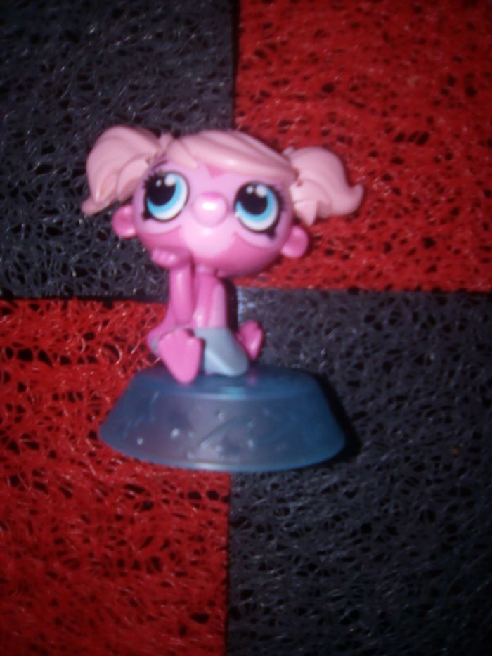 Pet Shop x2 - photo numéro 2