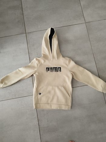 Sweat puma