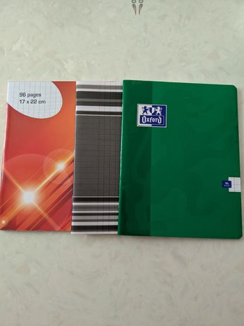 Lot de 3 cahiers petit format, 96 pages à grands carreaux. Taille 17x22 cm