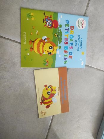 Cahier d'activités et cahier de coloriages drôles de petites bêtes