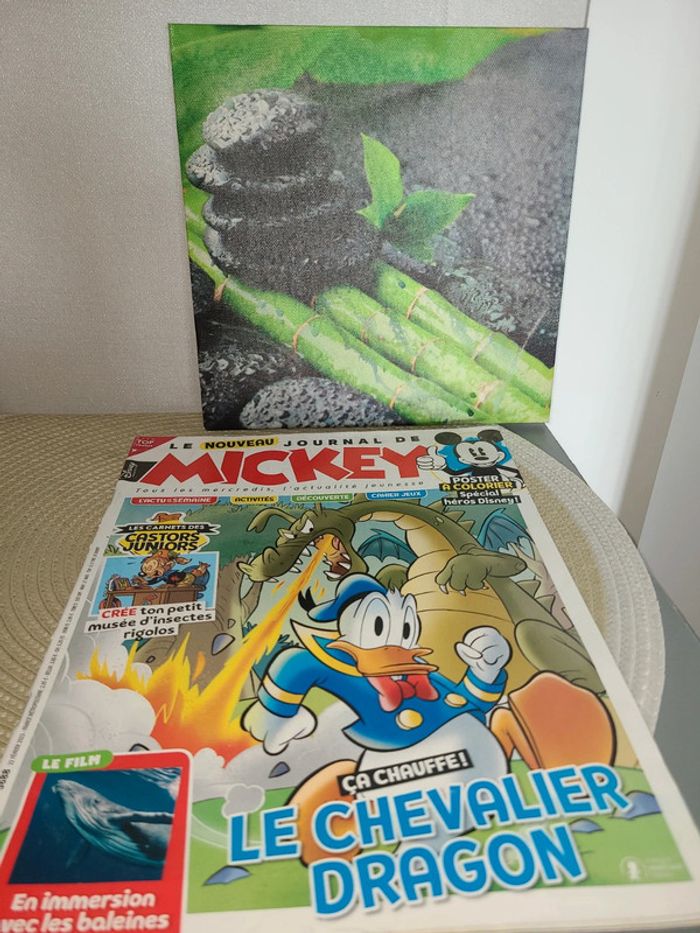 Livre Le Journal de Mickey - photo numéro 2