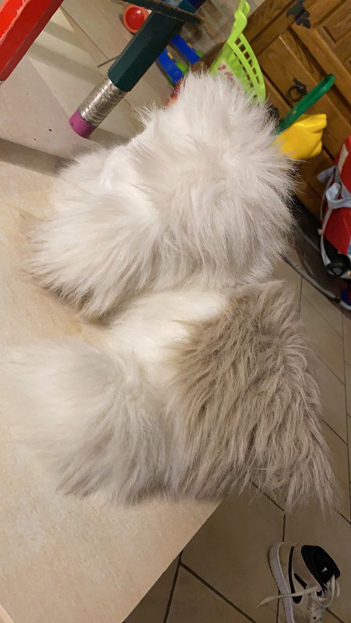 Peluche chien - photo numéro 5