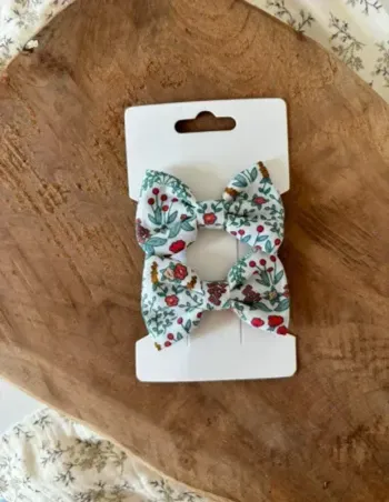 Barrettes les aventures de Joe et Amy