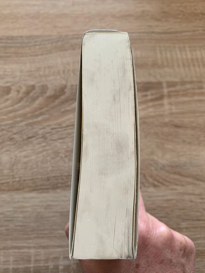 Ivoire - photo numéro 5