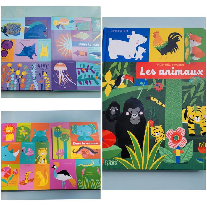 Grand livre à flaps 🦍 Mon Bel Imagier 🦜 Les animaux 🐆 73