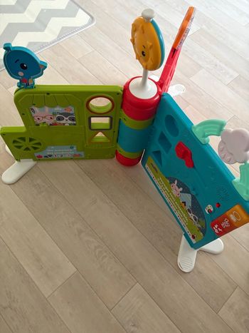 Grand livre d’activité Fisher price 
