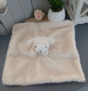 Mouton Éditions Doucet