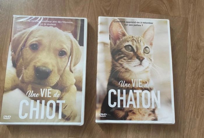 Lot de 2 DVD - ma vie de chaton / chiot