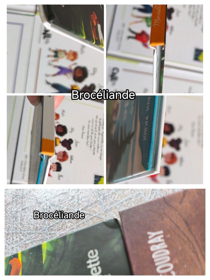 6 livres merveilles de france - photo numéro 3