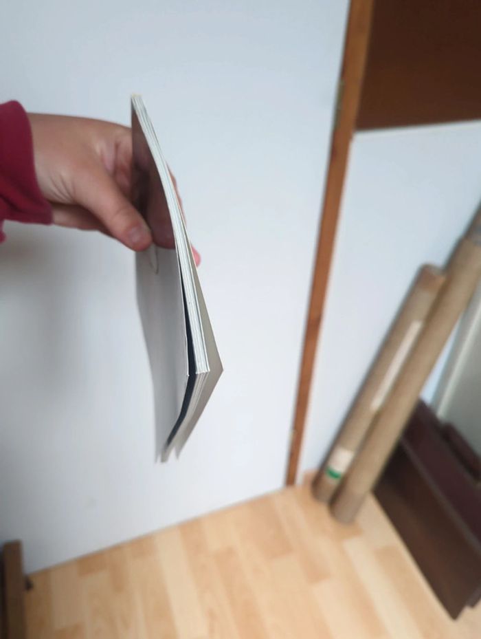 Abydos ou le mystère de la résurrection - photo numéro 6