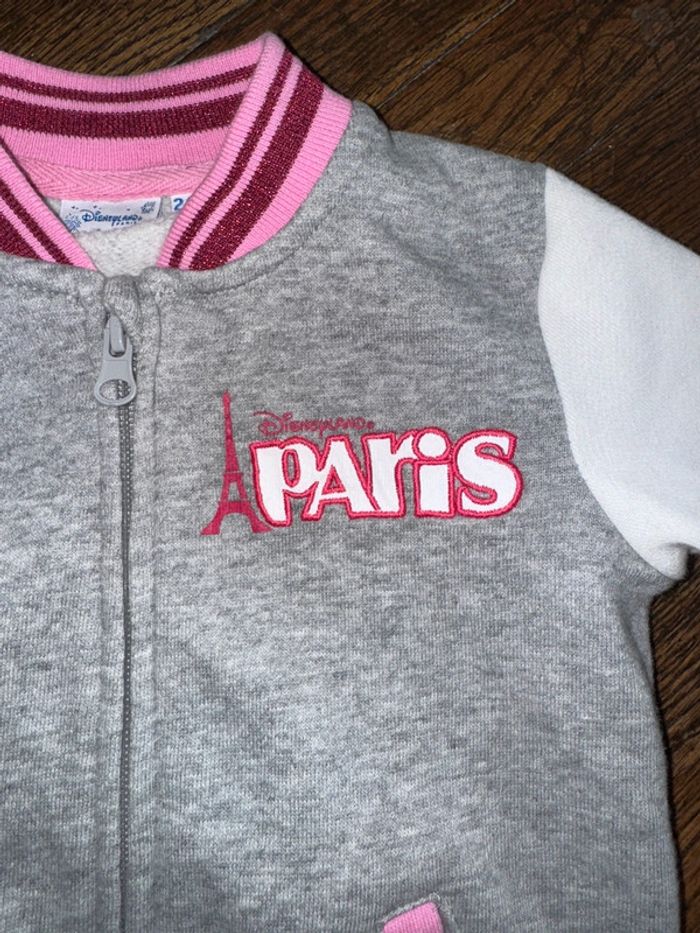 Gilet ou blouson Disneyland Paris 24 mois Acheté au parc - photo numéro 2