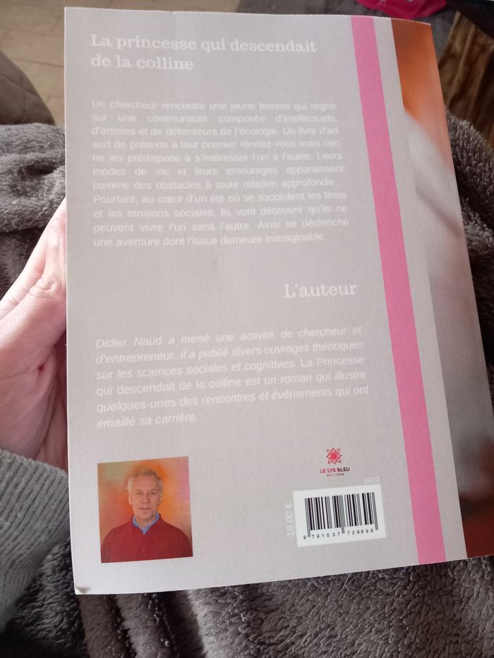La princesse qui descendait de la colline - Didier Naud - photo numéro 2