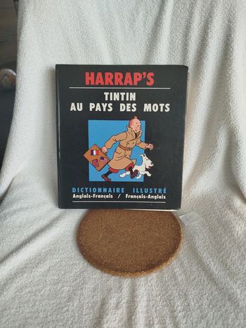 Livre dictionnaire Tintin au pays des mots
