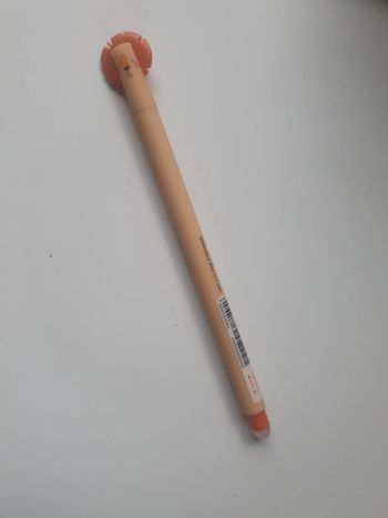 Crayon Legami Lion